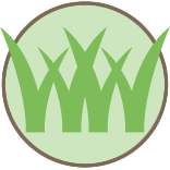 New Braunfels Lawn Mowing