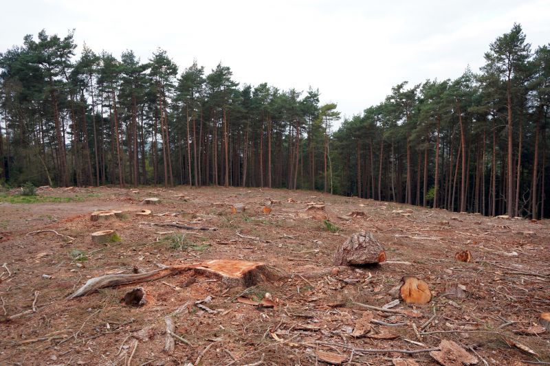 Increase Your Lawn Mowing Business with an AI Driven, Targeted Website