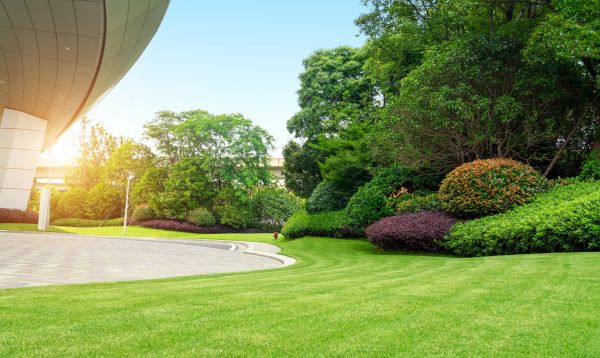 Cost of Commercial Lawn Mowing in New Braunfels