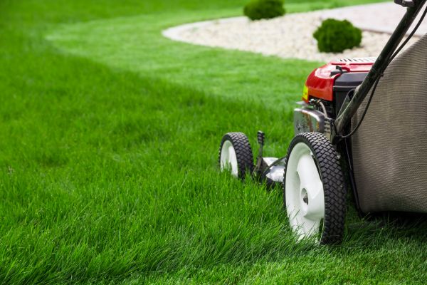 Lawn Cutting Service in New Braunfels