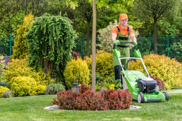 Yard Service in New Braunfels