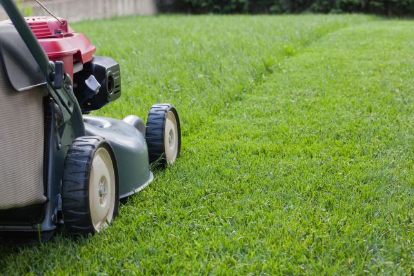 Residential Lawn Care in New Braunfels