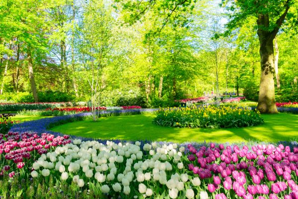 Spring Lawn Care in New Braunfels