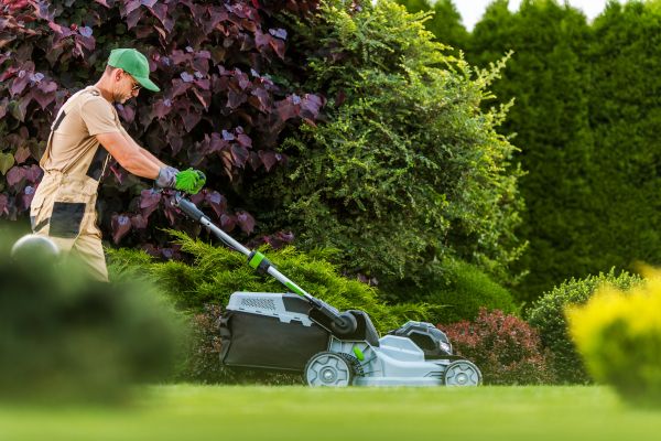Lawn Management in New Braunfels