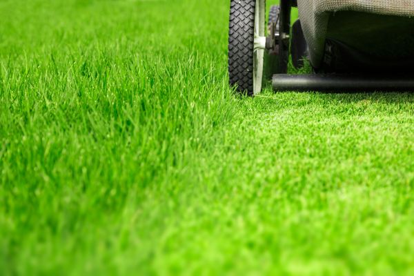 Weekly Lawn Care in New Braunfels