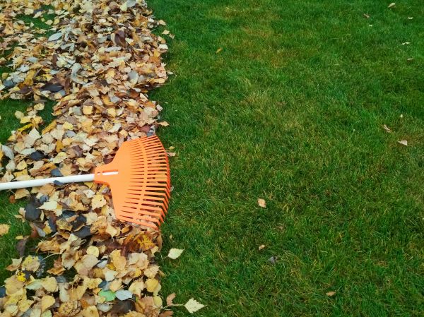 Fall Lawn Care in New Braunfels