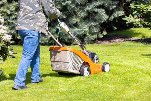 Springtime Lawn Care in New Braunfels