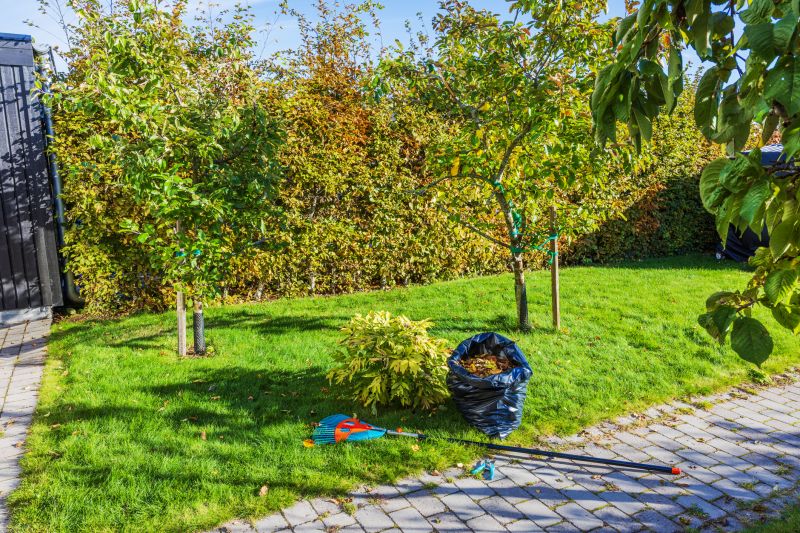 Fall Lawn Care