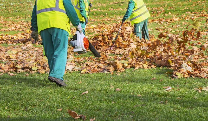 Leaf Blowing and Raking