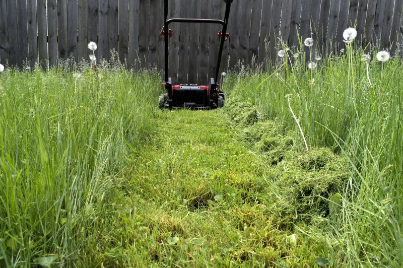 Mowing Height