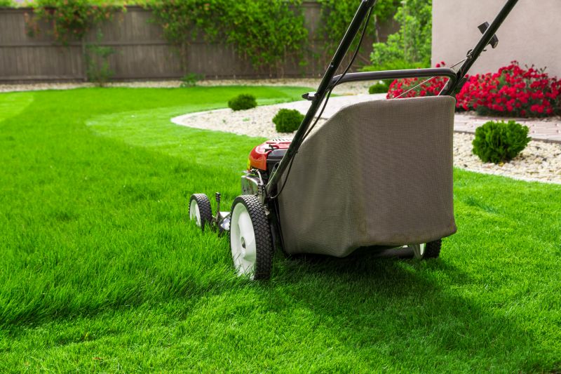 Spring Lawn Maintenance
